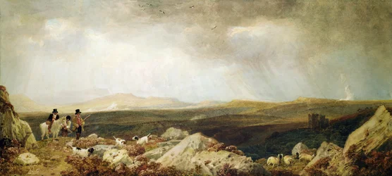 Grouse Shooting